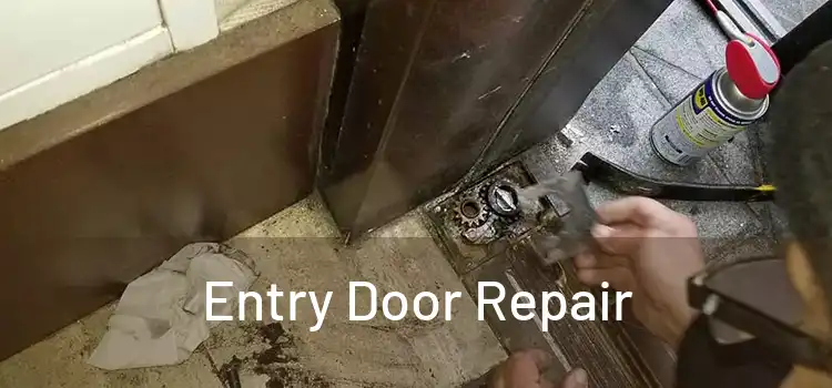 Entry Door Repair